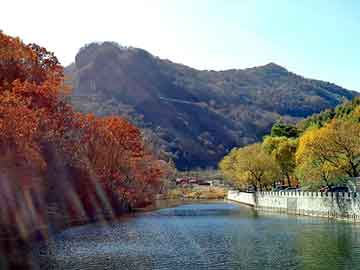 新澳天天开奖资料大全旅游团，中医治疗肺癌